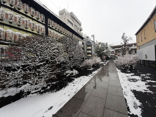 本堂に向かう参道