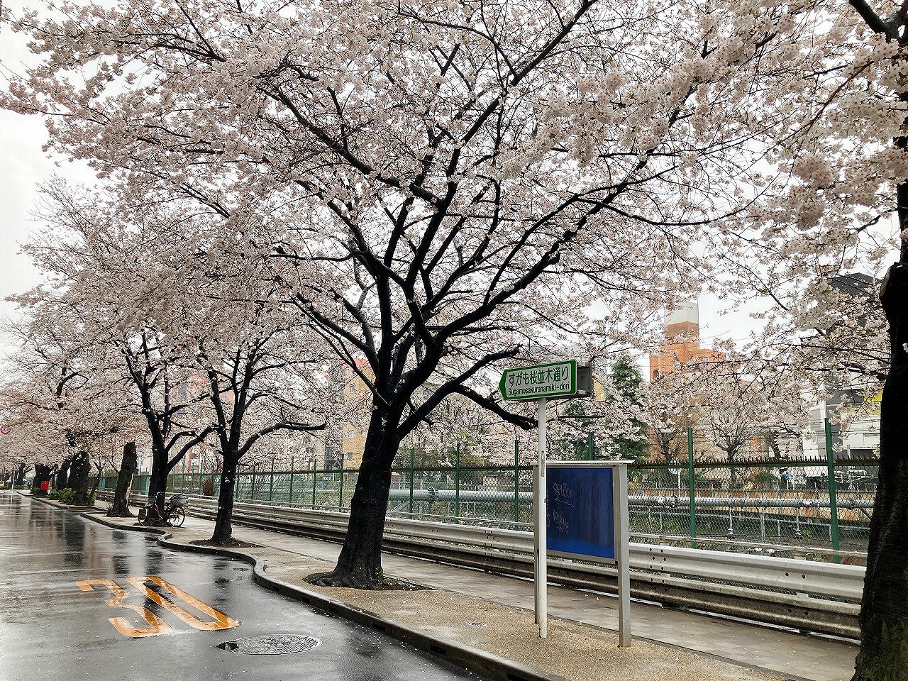 巣鴨周辺の桜の名所