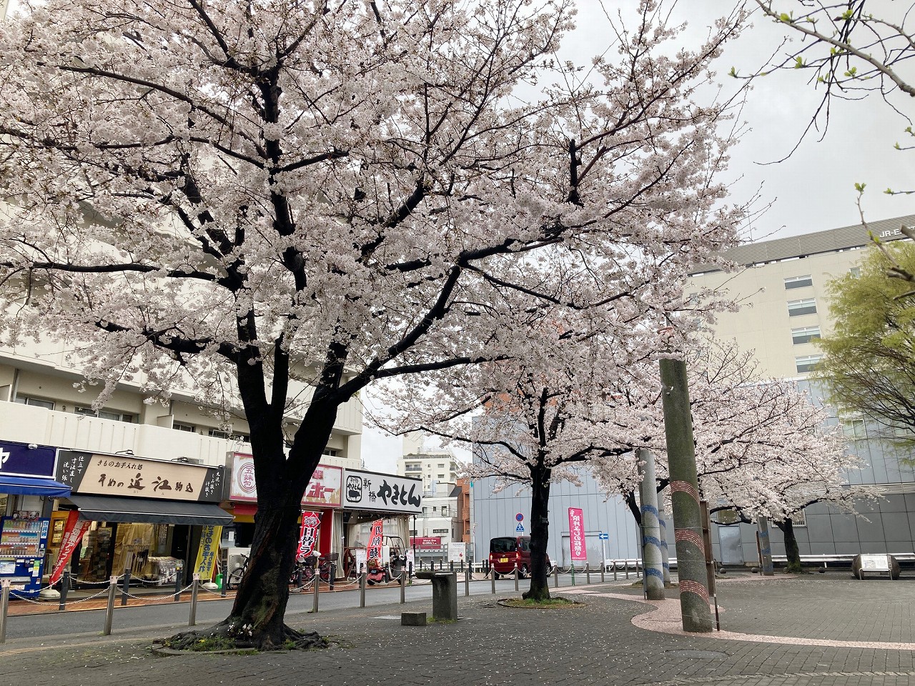 画像の説明 画像の説明