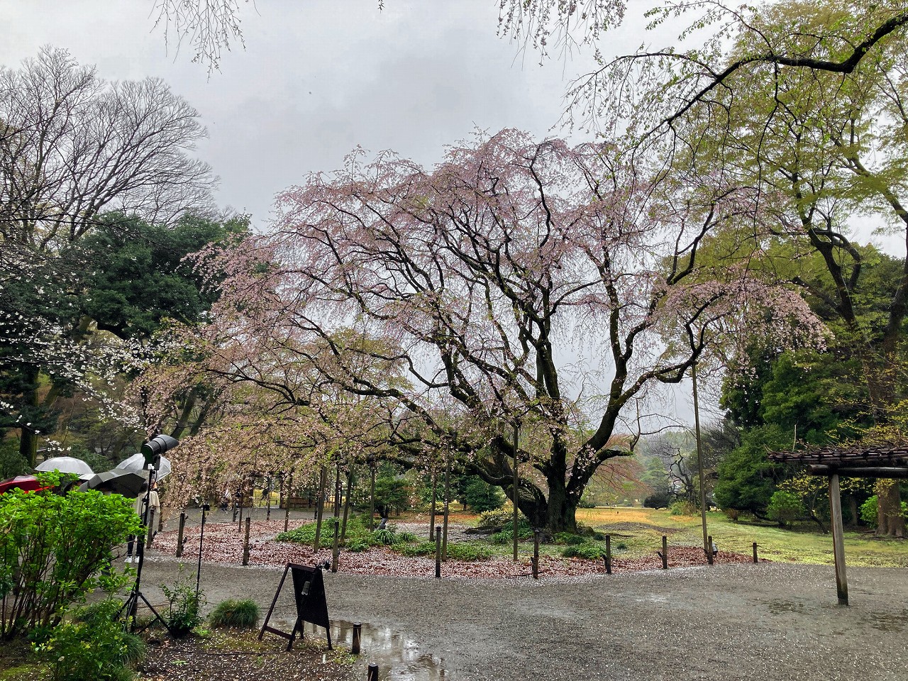 画像の説明 画像の説明